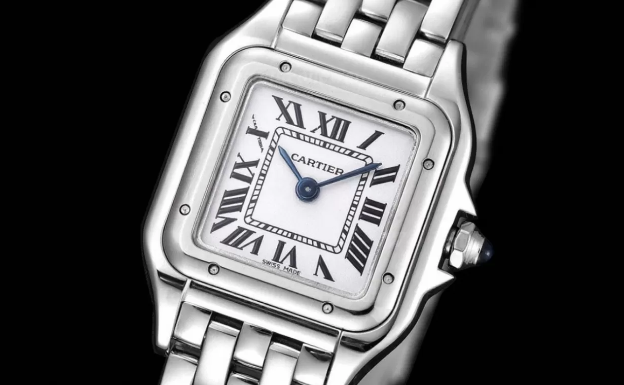 Panthere Secrete De Ladies 22mm SS/SS White 8848F Swiss Qtz